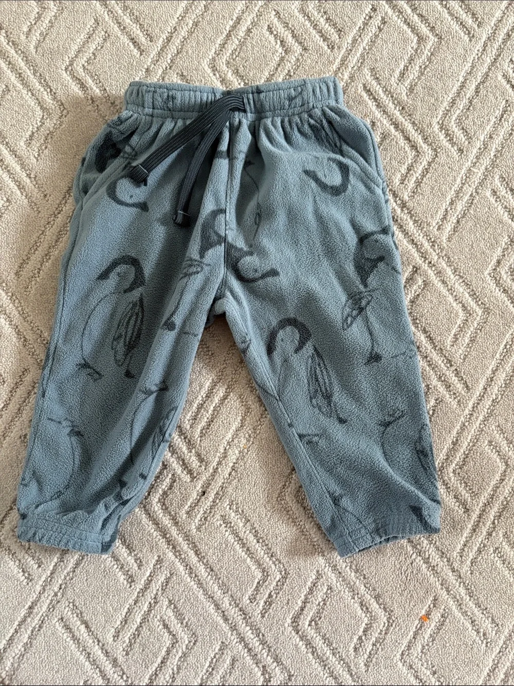 Kids Blue Penguin Fleece Set